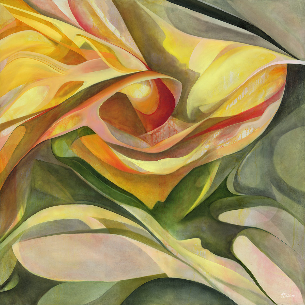 Unfolding by Mya Naidoo, a single flower fills the canvas, its form softened by late sunlight