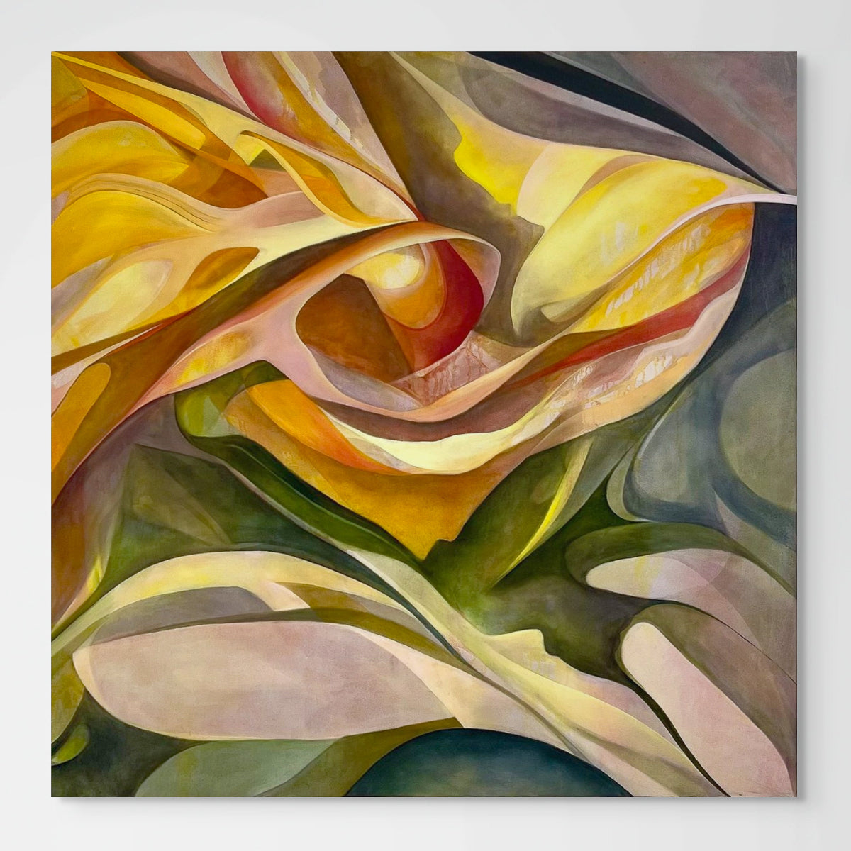 Original Artwork: Unfolding by Mya Naidoo, oil on canvas, a single flower fills the canvas, its form softened by late sunlight
